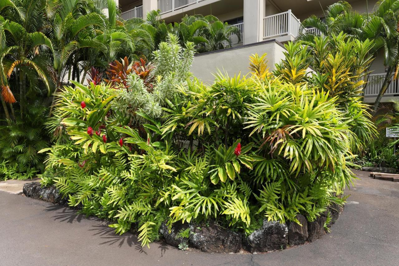 Kuhio Shores 107 Kukuiula 외부 사진